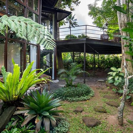 Green Tree House Ubud Zewnętrze zdjęcie