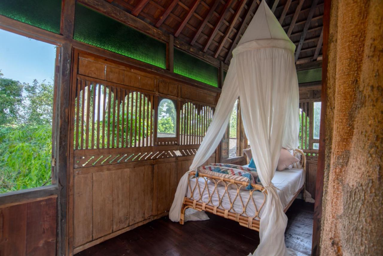 Green Tree House Ubud Zewnętrze zdjęcie