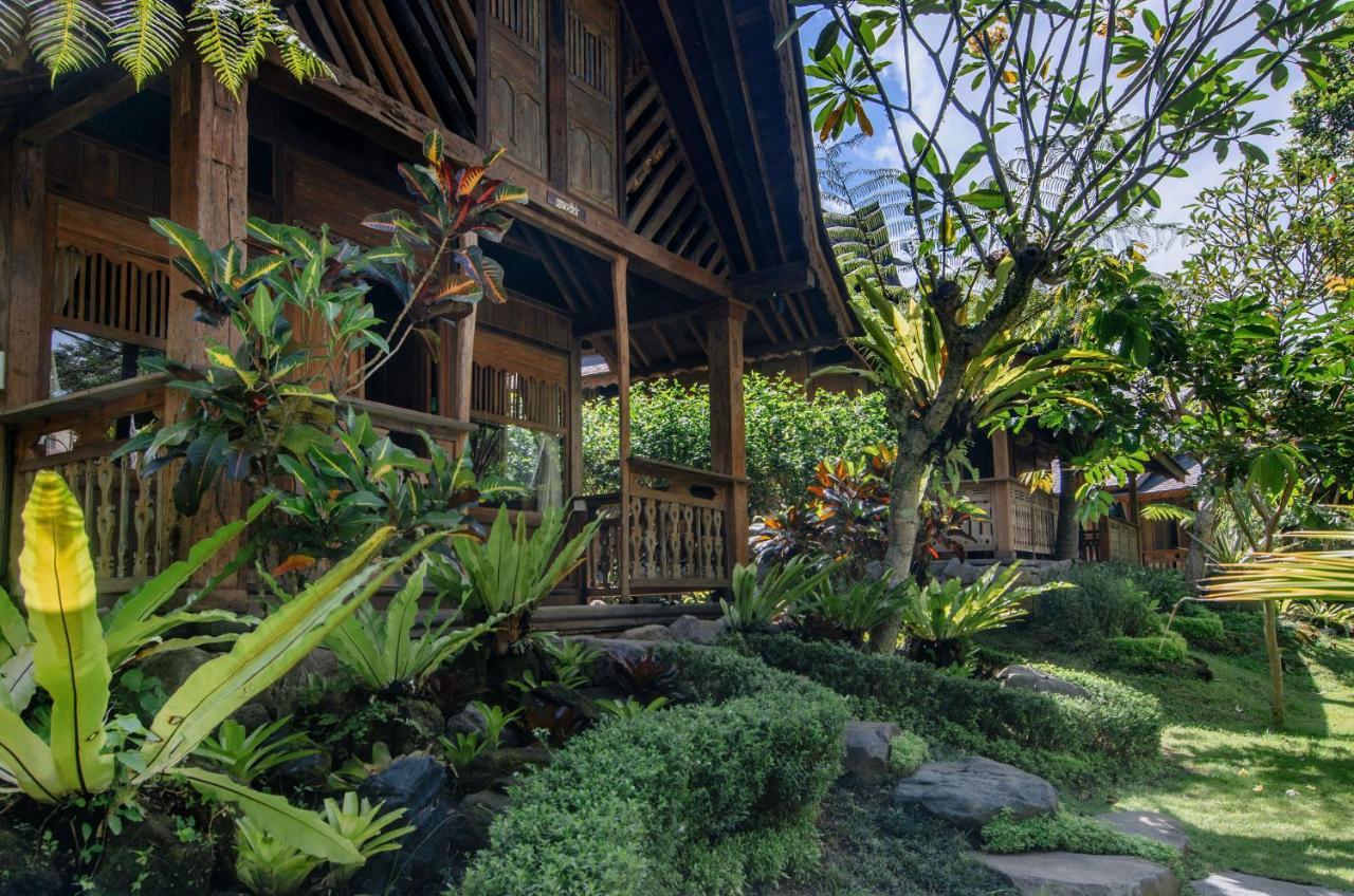Green Tree House Ubud Zewnętrze zdjęcie